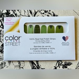 ✨Sold✨Color Street, Evergreen Queen